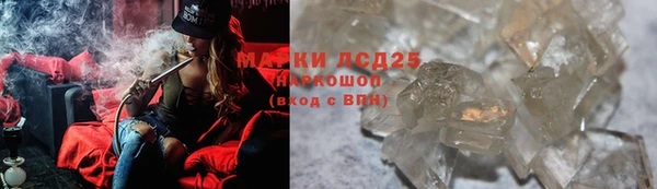 индика Армянск