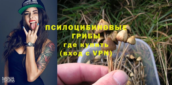трава Арсеньев