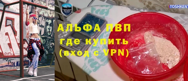индика Армянск