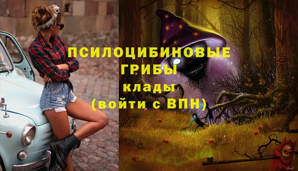 прущая мука Аркадак