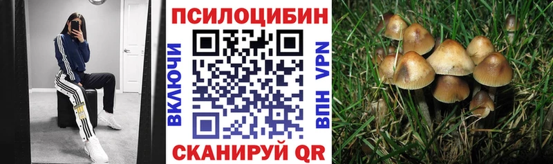 Галлюциногенные грибы Magic Shrooms  Цивильск 
